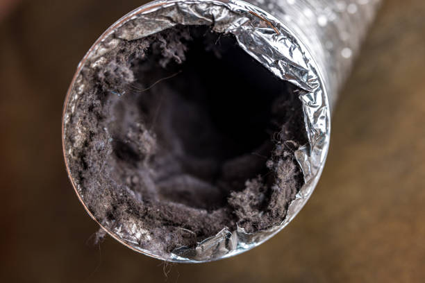 Best Affordable Air Duct Cleaning  in Pecan Grove, TX