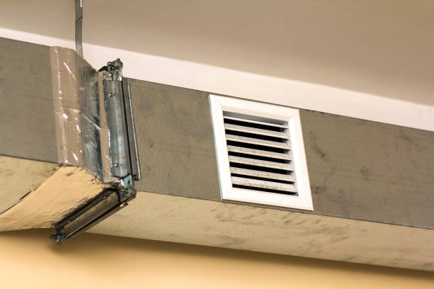 Best Air Duct Mold Removal  in Pecan Grove, TX